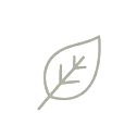 A single leaf, drawn in outline
